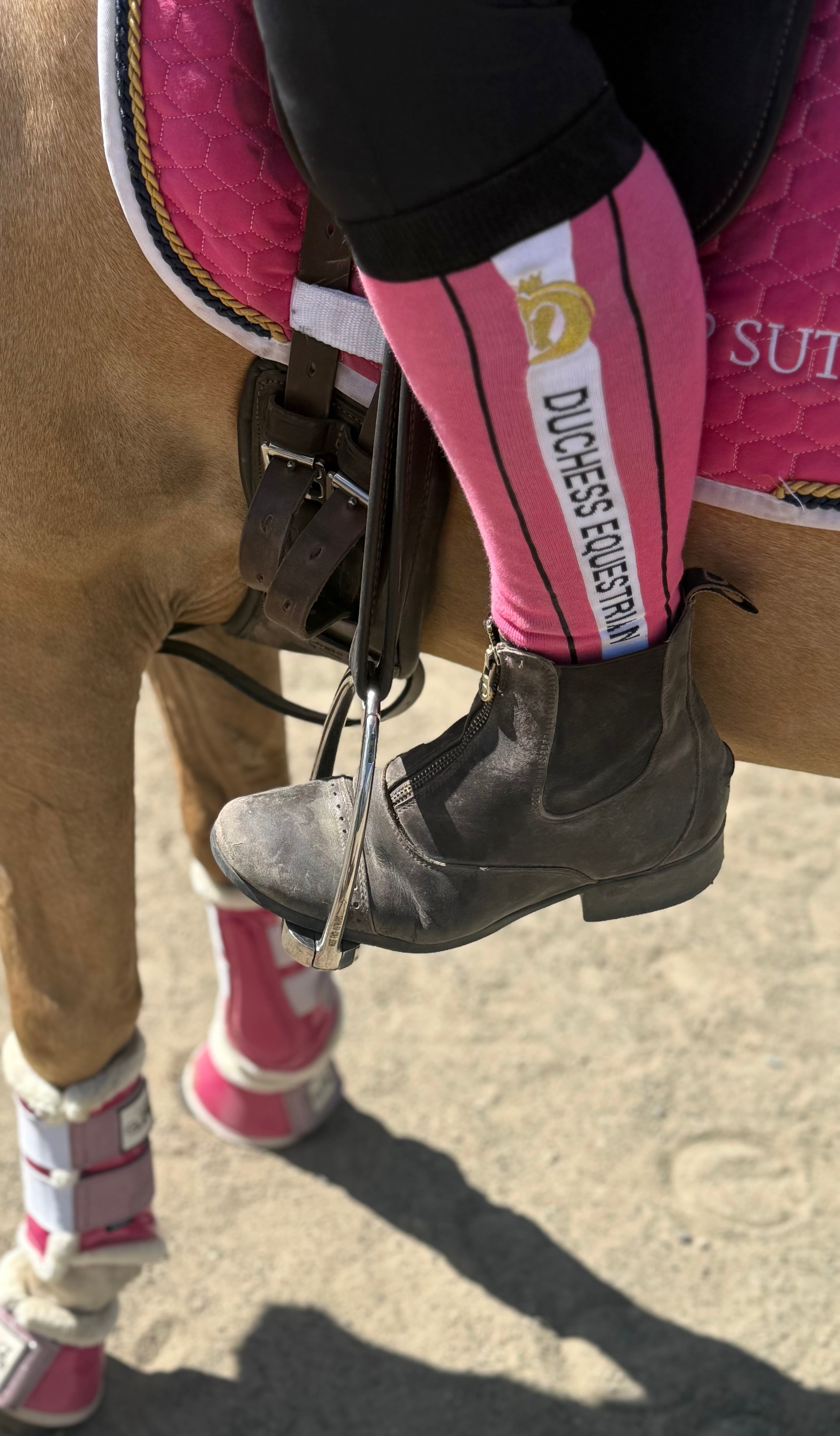 Rider Competition Socks : Pink