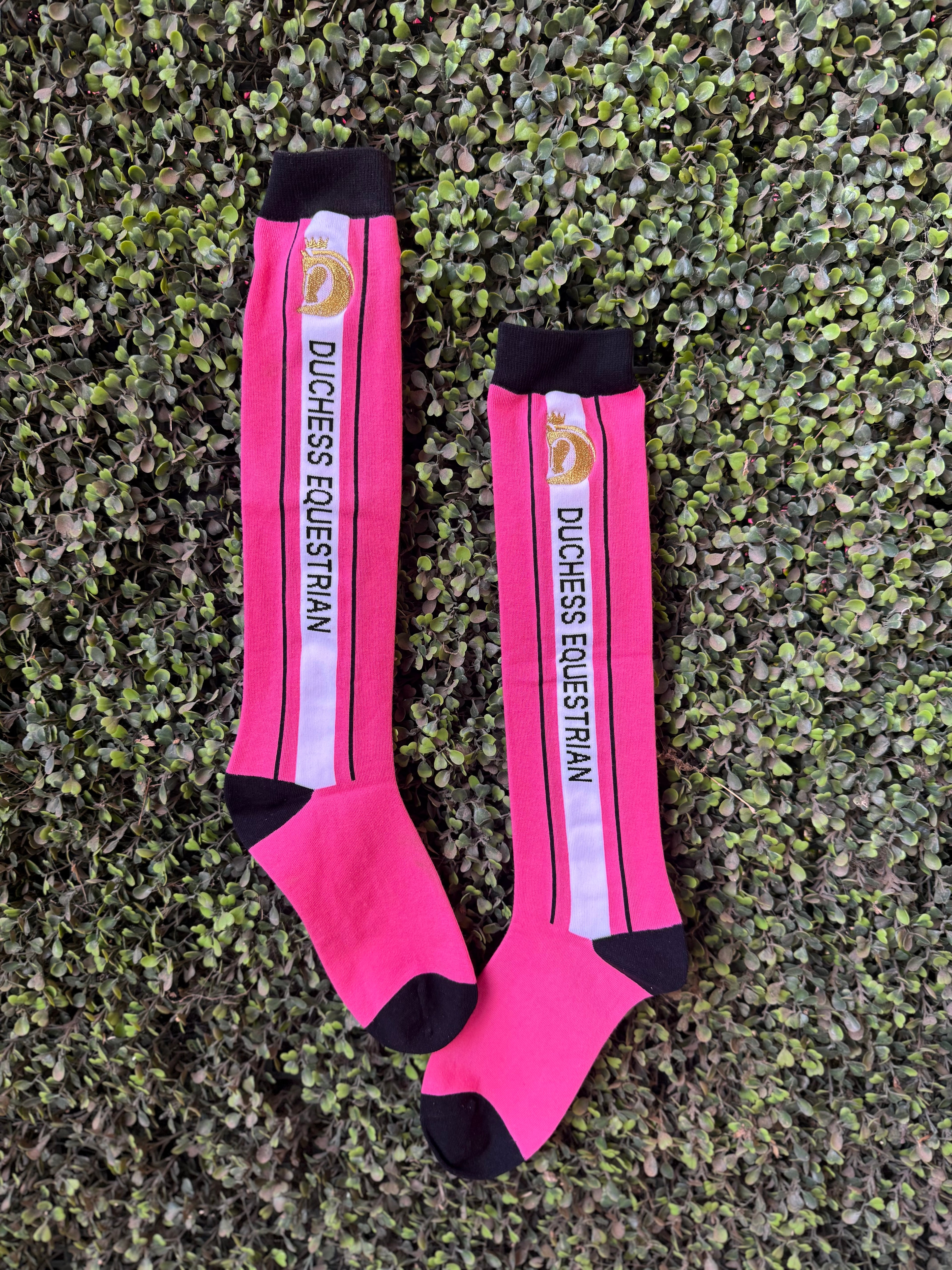 Rider Competition Socks : Pink